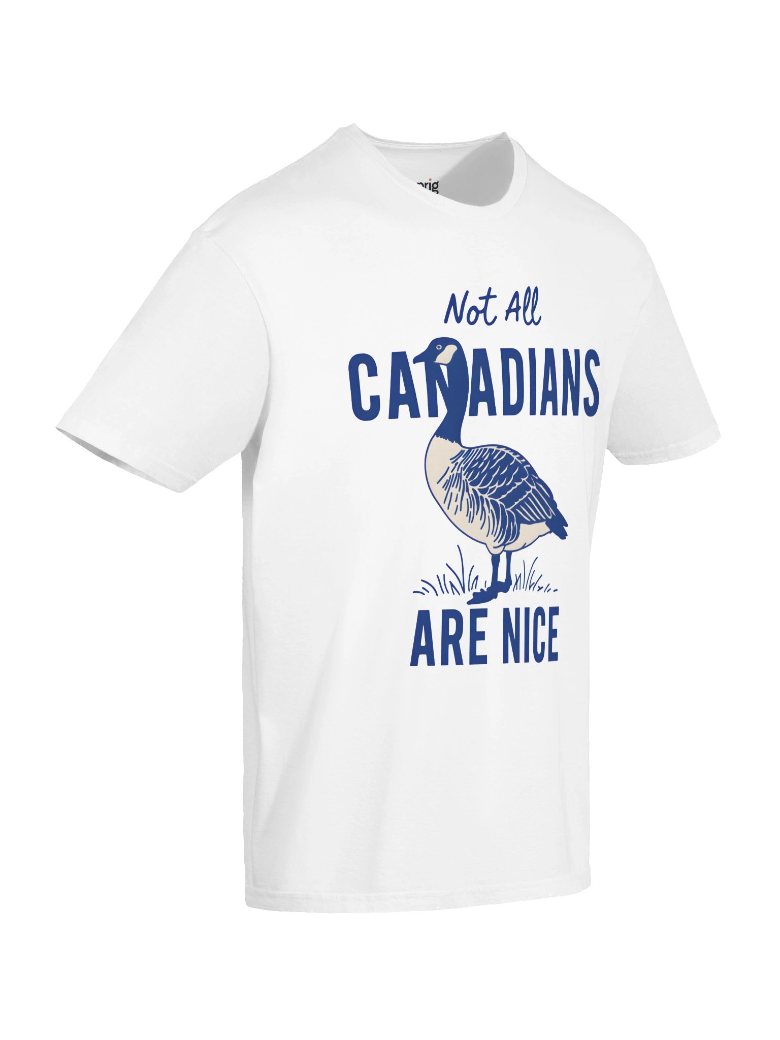 Not All Canadians Are Nice Goose Tee product image (46)