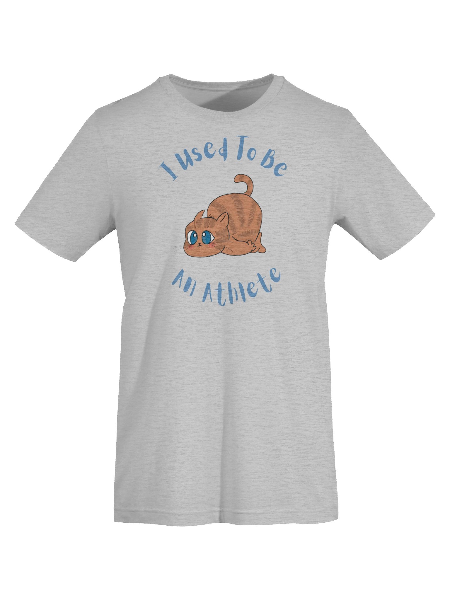 Chubby Cat Confession Tee product image (7)