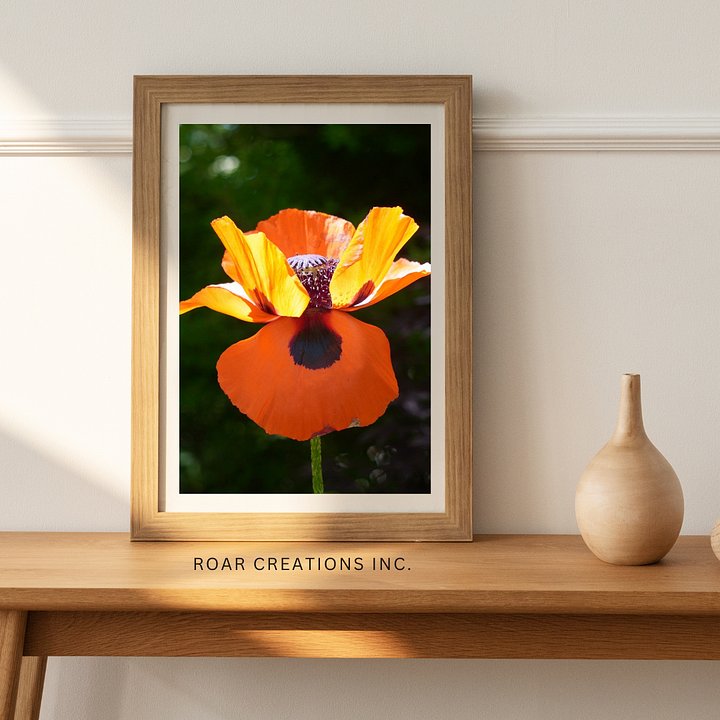 Stands with Orange product image (1)