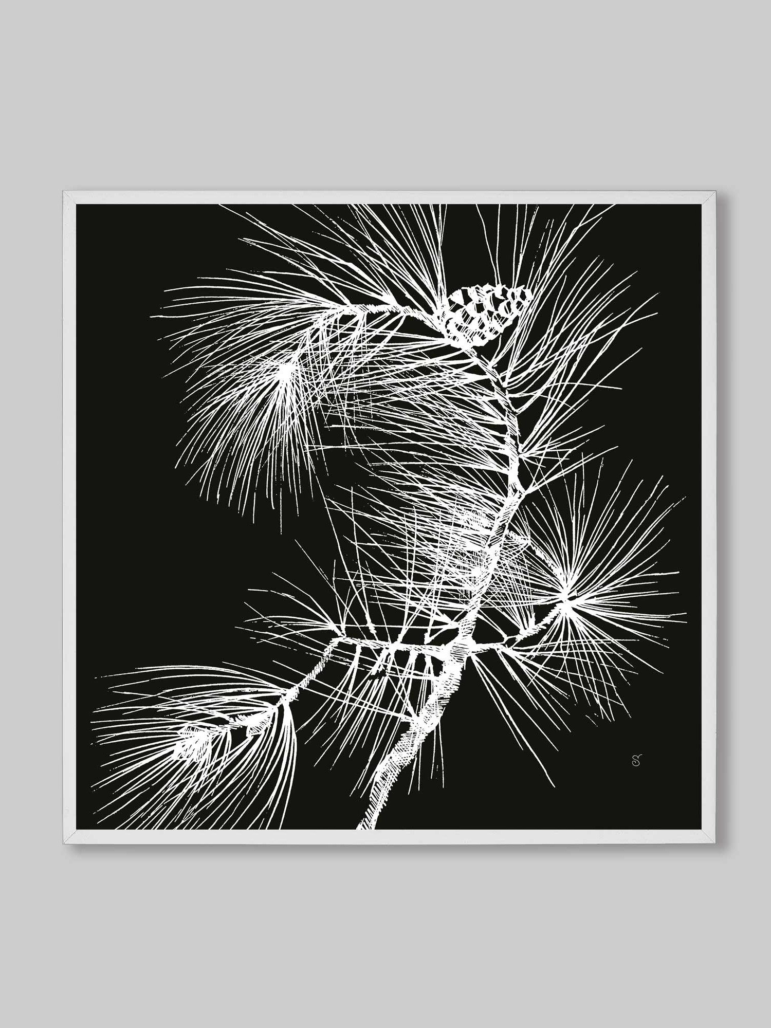 Visionary Canvas Collection - Pine Branch Dark product image (89)