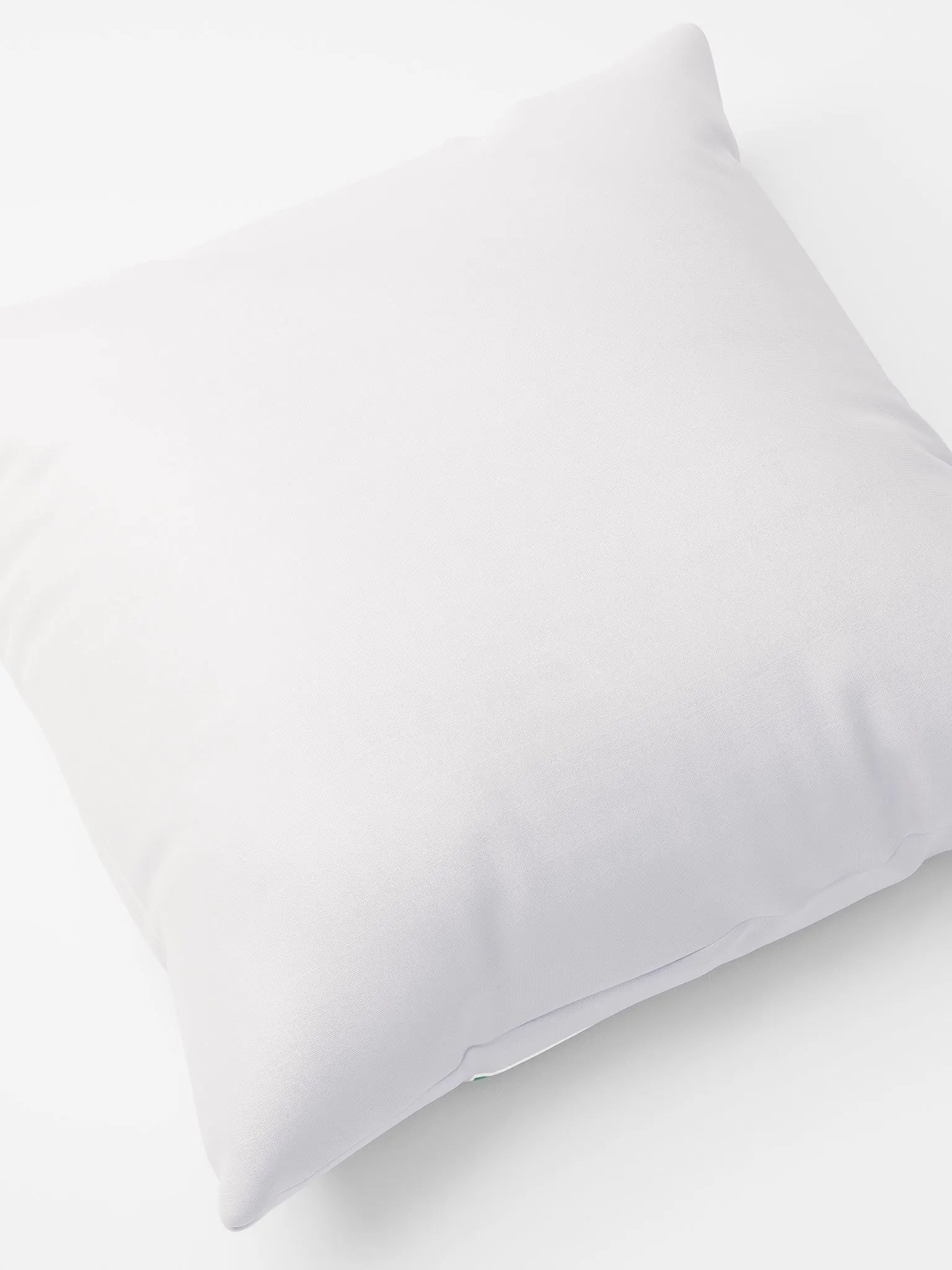 Pi's Famous Line Pillow product image (8)