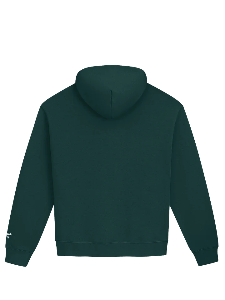 Embroidered Unisex VIP Hoodie with Jeremiah 29:11 on sleeve product image (2)