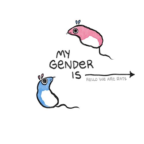 Please enjoy my visual essay about gender and it's complexities. 🥳 Did I accu-rat-ly capture yours by chance? 👀