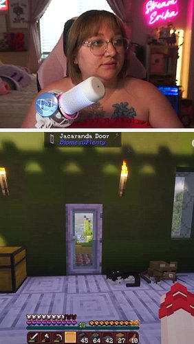 The game really has mastered its comedic timing 🙃

#girlygamer #minecraftgirl #cozygamer #gamermom #minecraftjavaedition