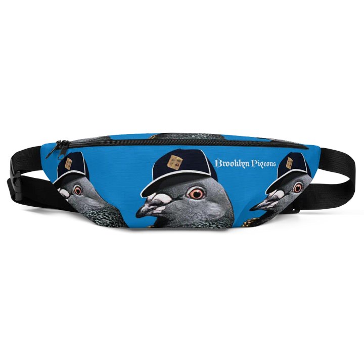 BIGGY Fanny Pack (BLUE) product image (1)