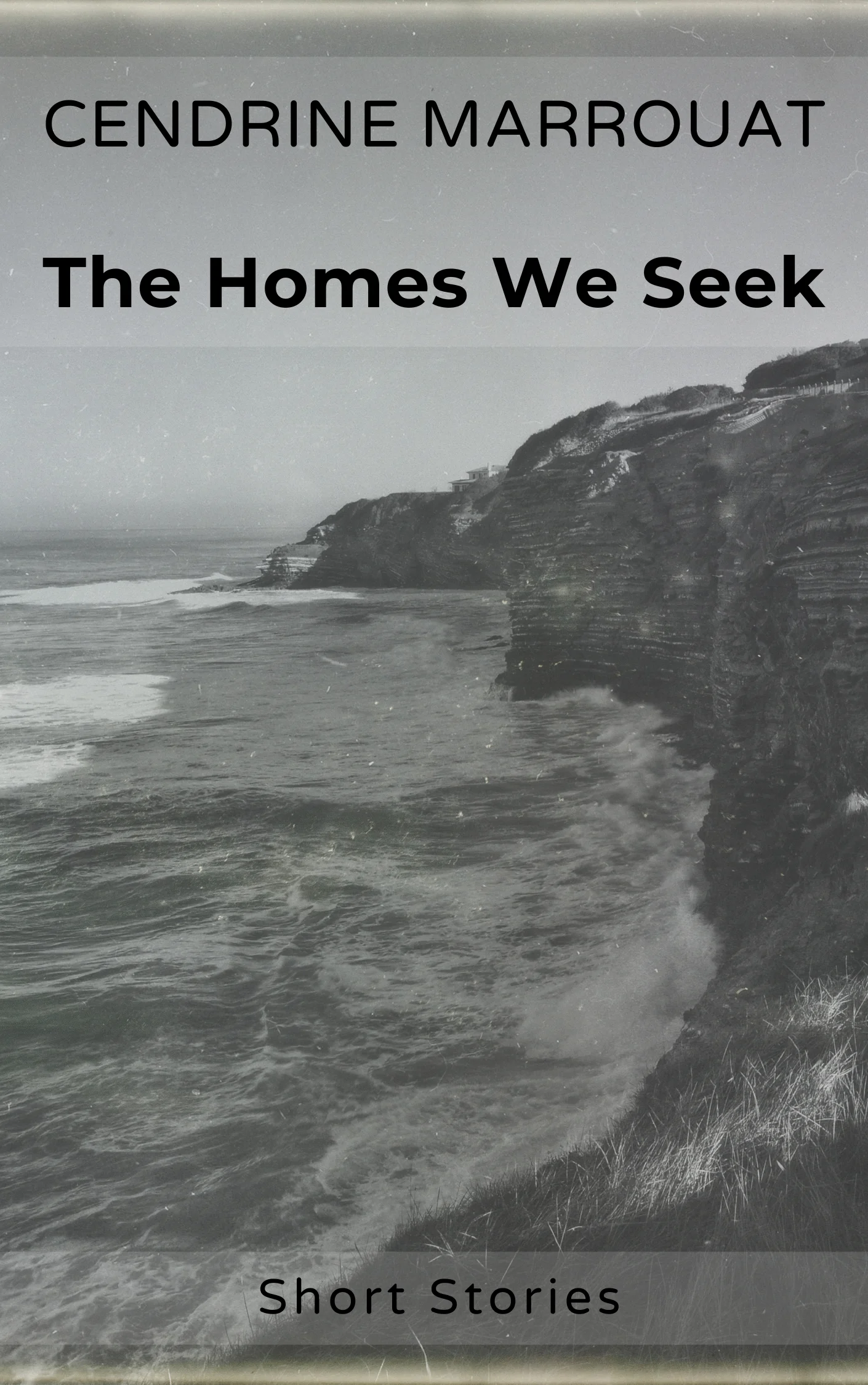 The Homes We Seek product image (1)