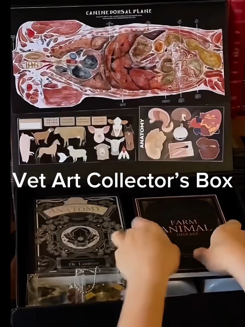 Vet Art Collector’s Gift Box product image (5)