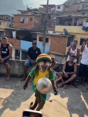 Ball nah lie🇧🇷⚽️ #jahmunkey 