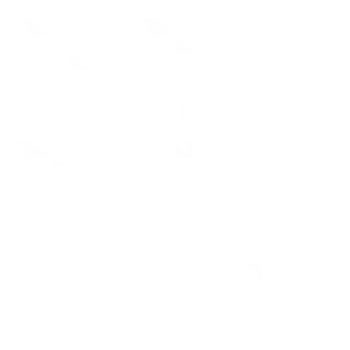 Jetdarc's Shop
