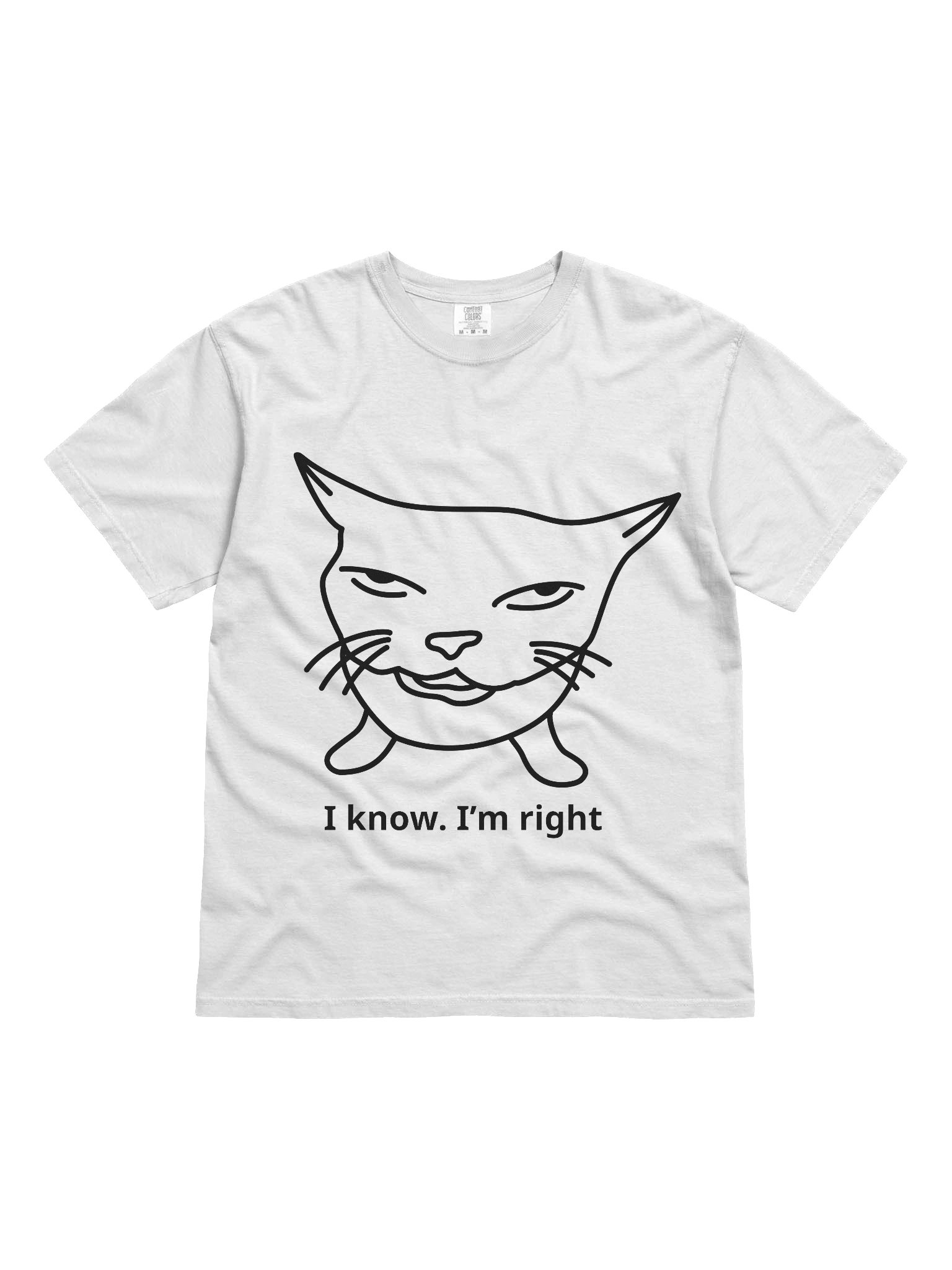 I Know. I’m Right. Shirt – Funny Smug Cat Meme Graphic Tee, Sarcastic Confidence T-Shirt, Unisex Humor Top product image (1)