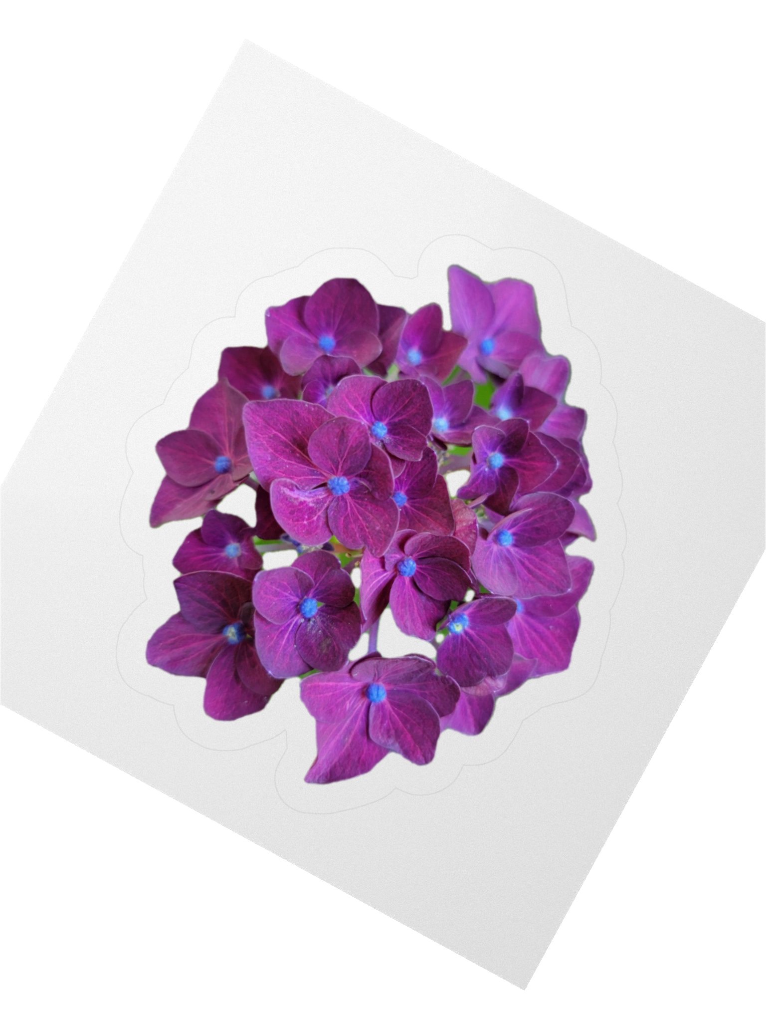Flower Stickers v1 product image (6)