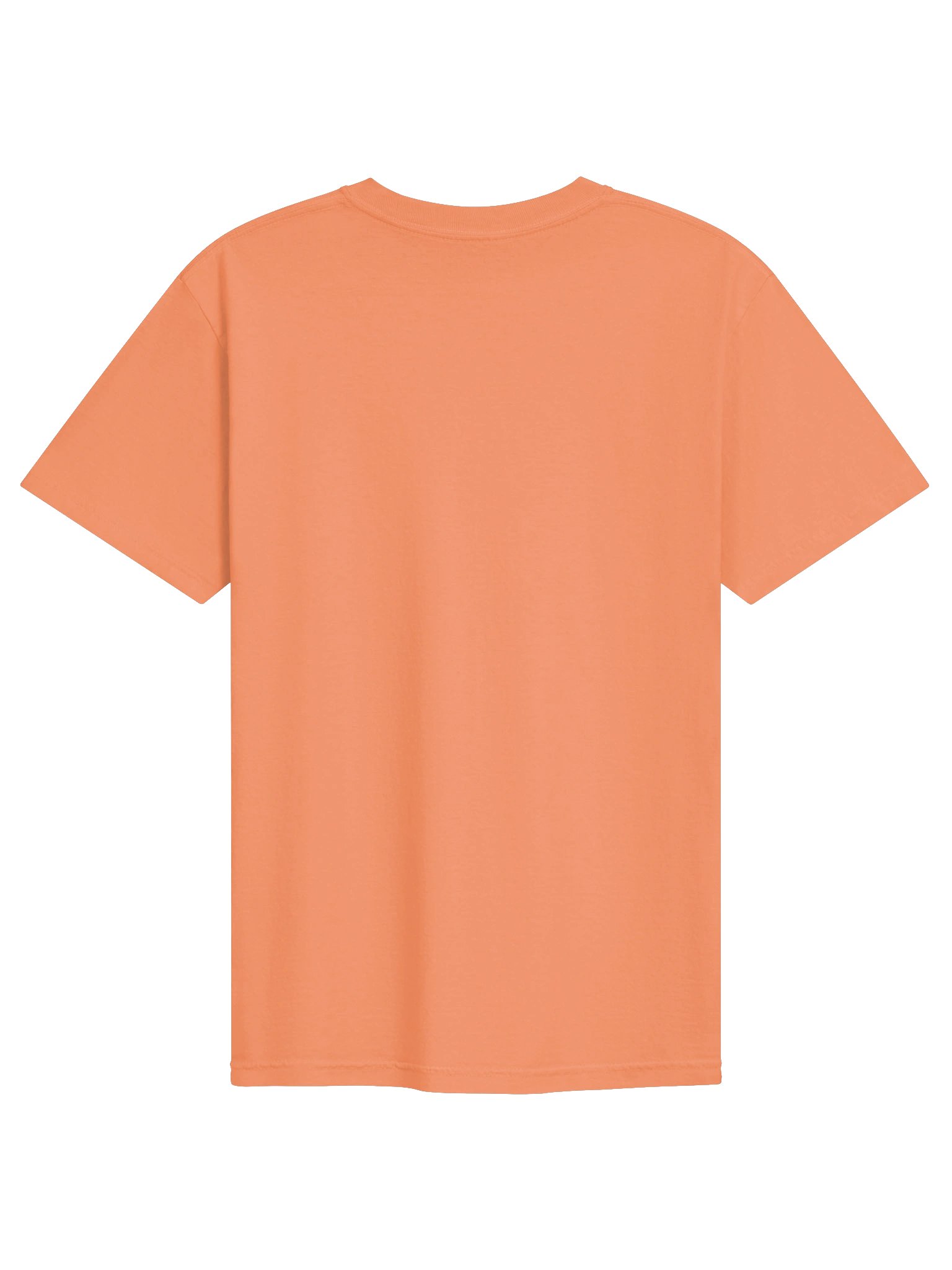 Halloween Standard Schnauzer(Liver & White, Cropped Ears) Embroidered T-Shirt product image (26)