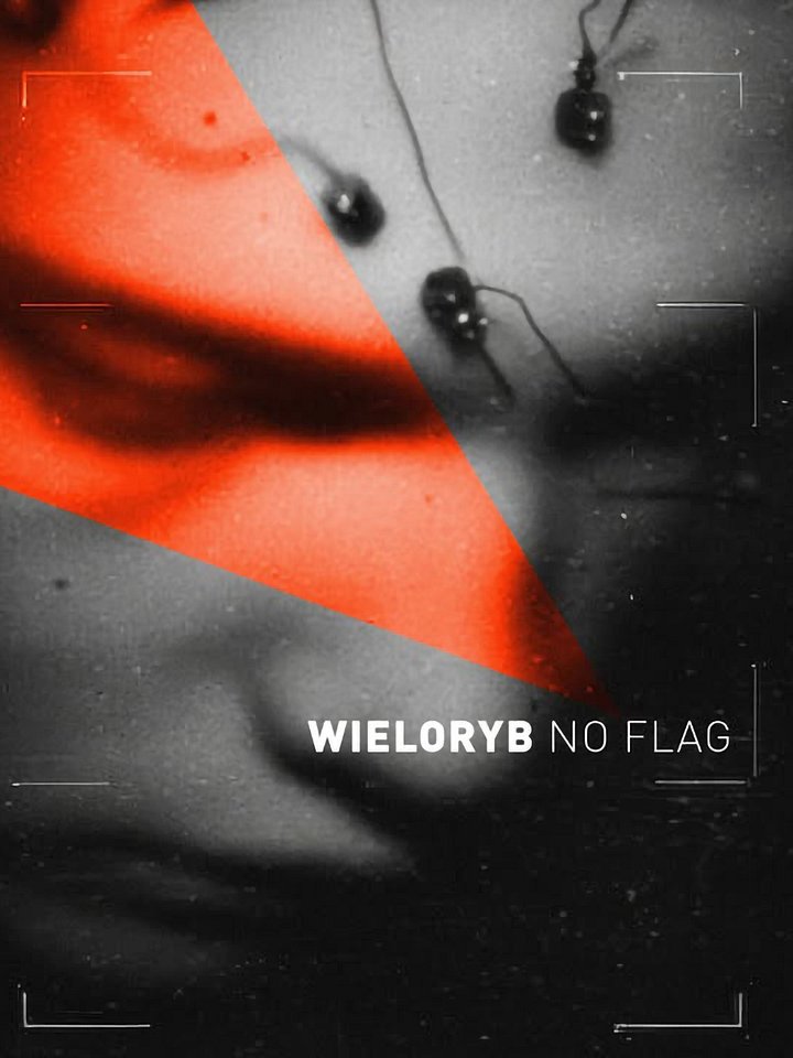 NO FLAG product image (1)