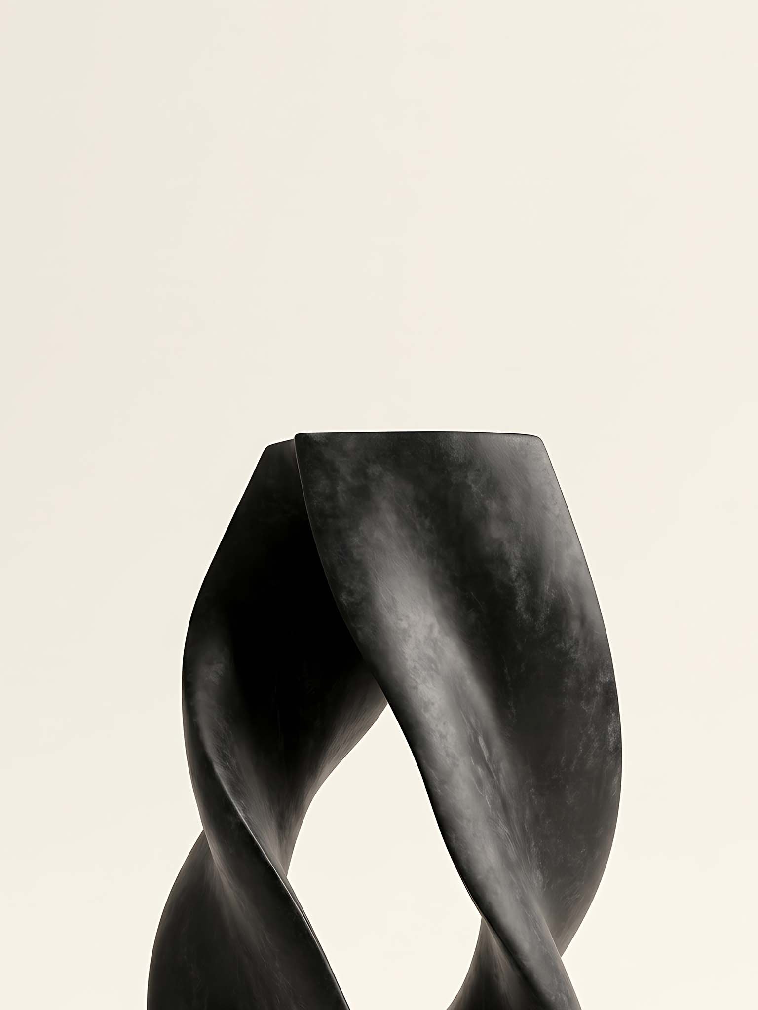 Dark Fold - Abstract Organic Sculptural Wall Art product image (76)
