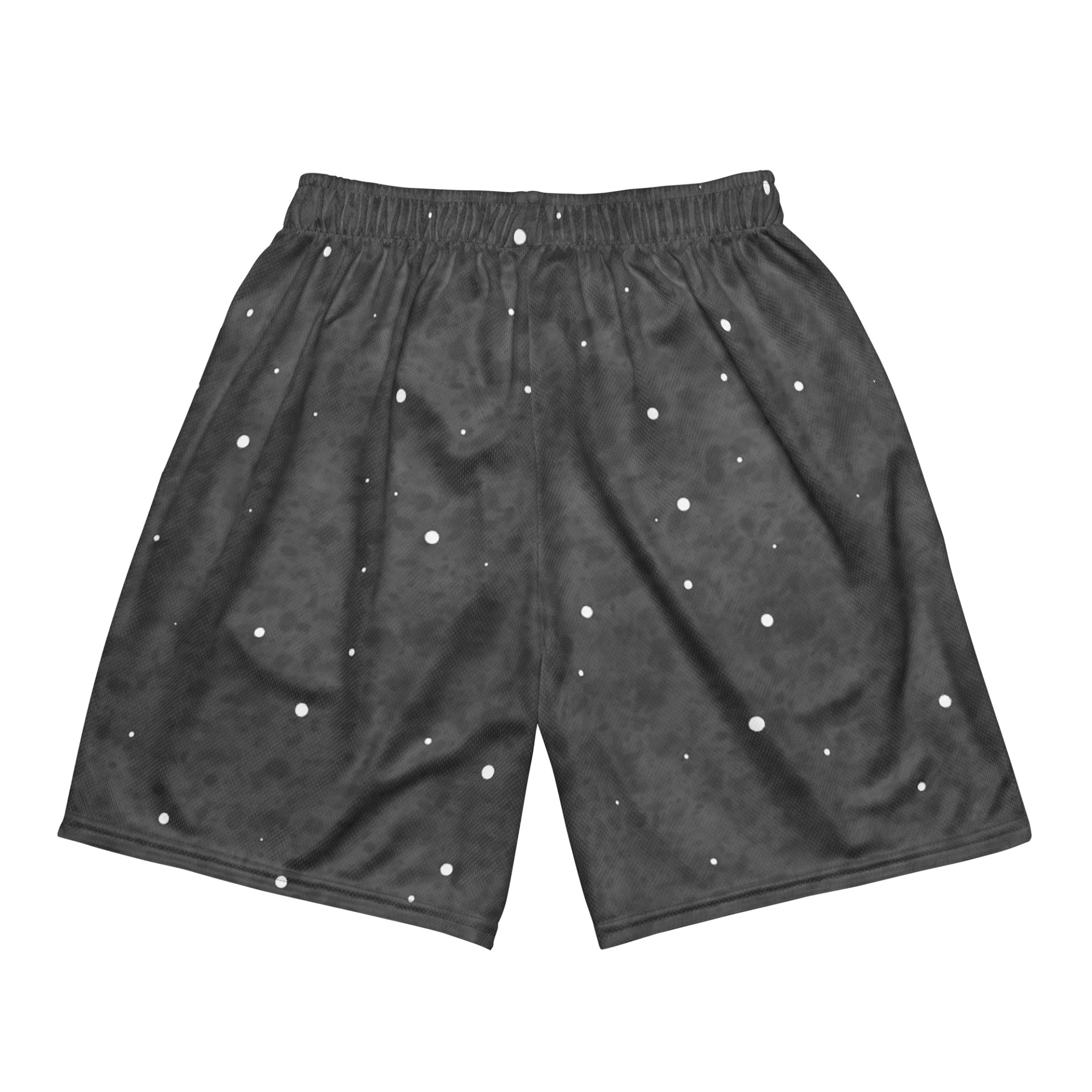 Space Red Panda Shorts product image (6)