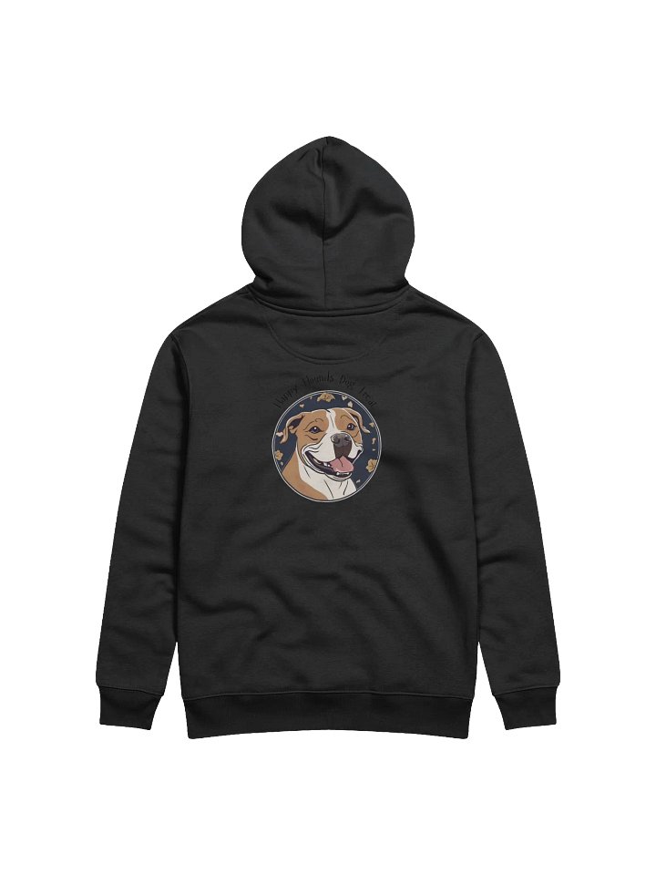 HHDT colab hoodie product image (2)