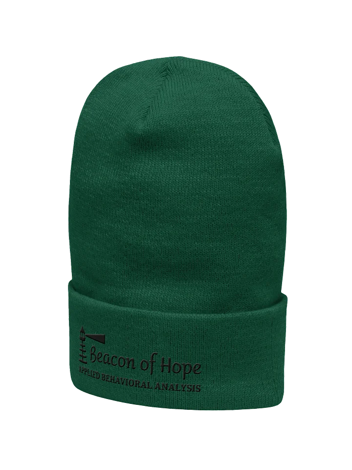 Beacon Cuffed Beanie product image (8)