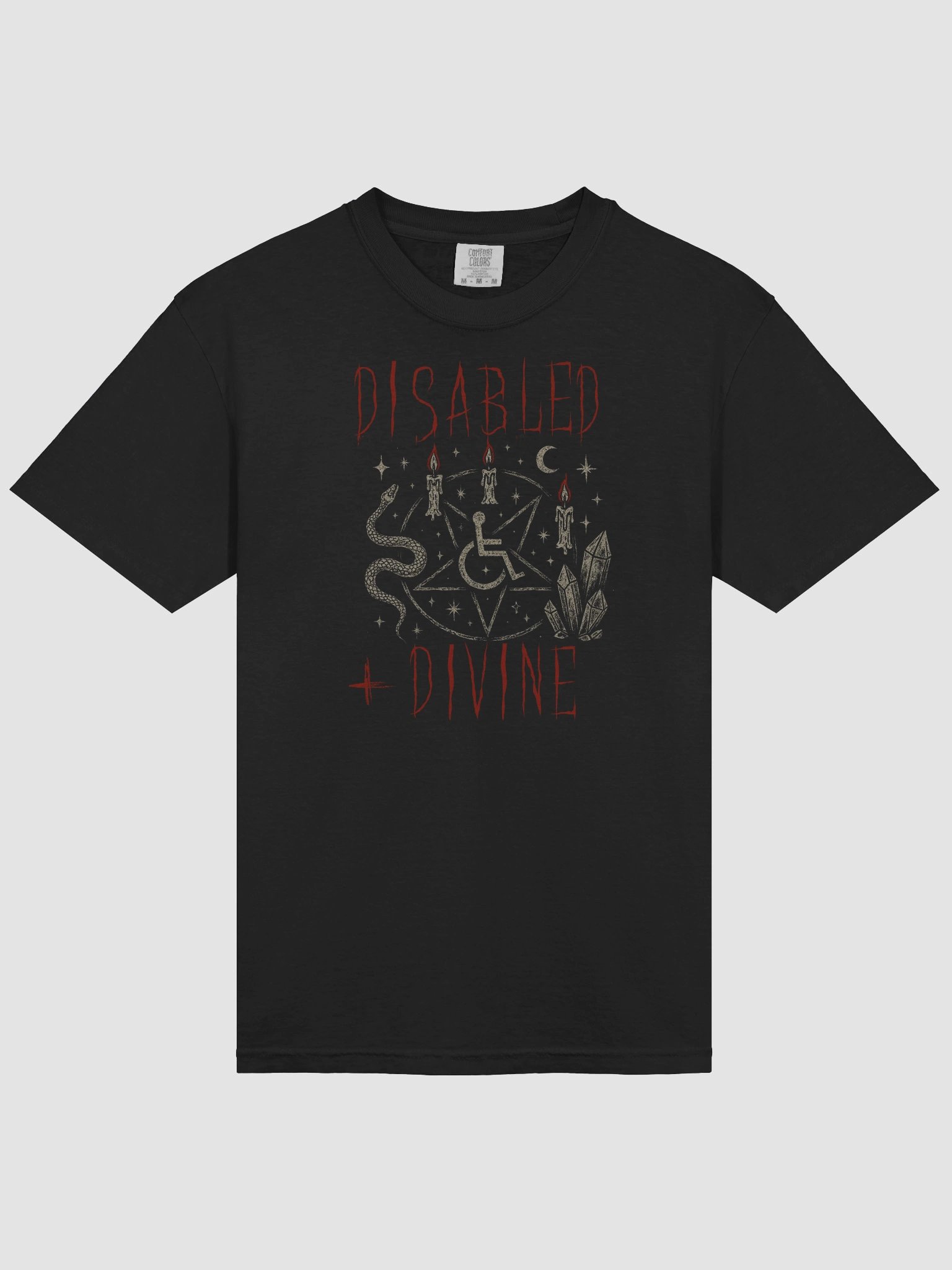Disabled & Divine product image (3)