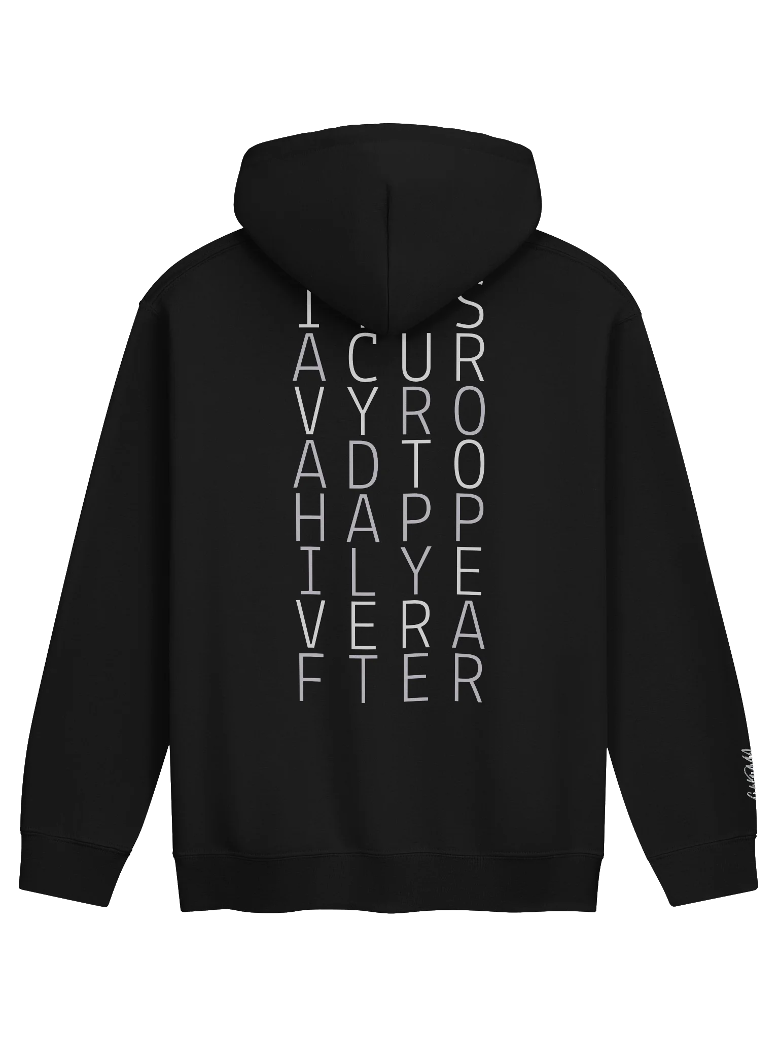 Curvy Road Signature Hoodie product image (8)