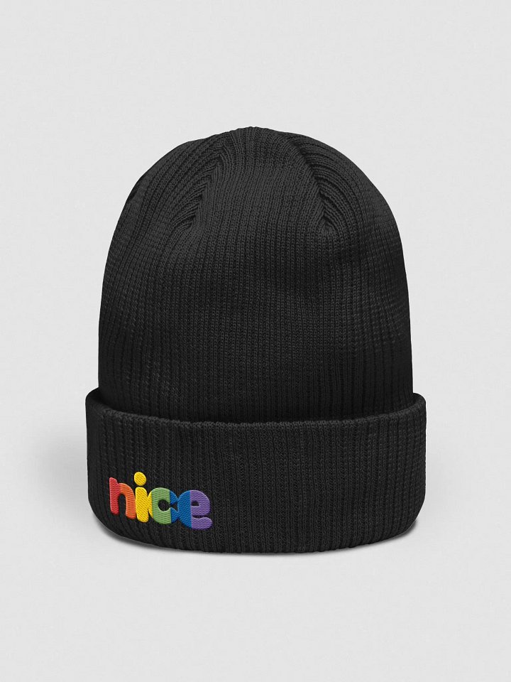 Dumpling | Pride | Embroidered Beanie product image (2)