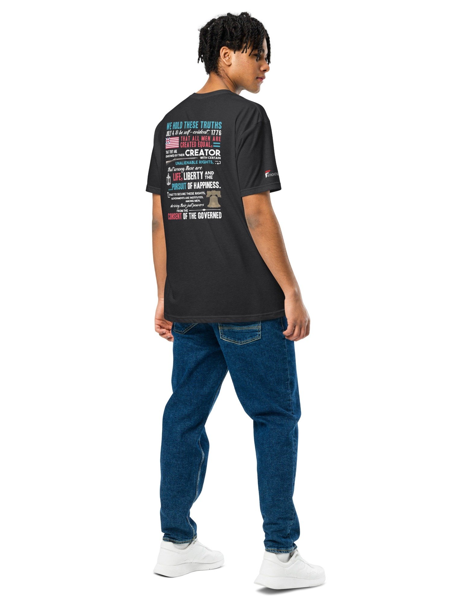 250 SPIRIT EAGLE product image (12)