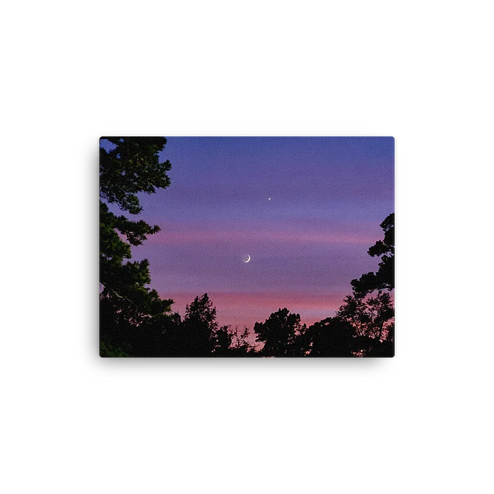 A Quiet Companion - Canvas product image (1)