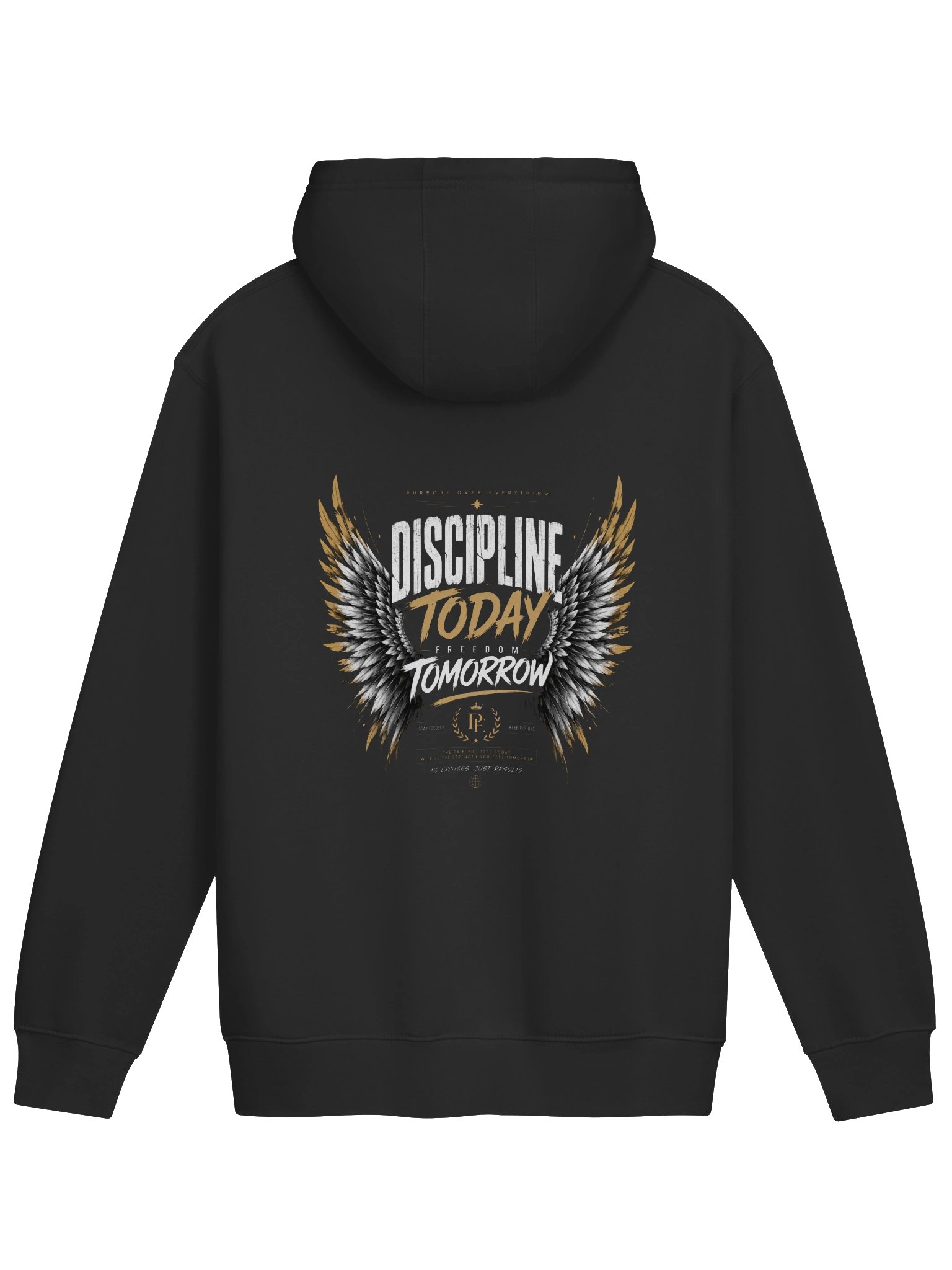 Discipline Today, Freedom Tomorrow Hoodie product image (6)
