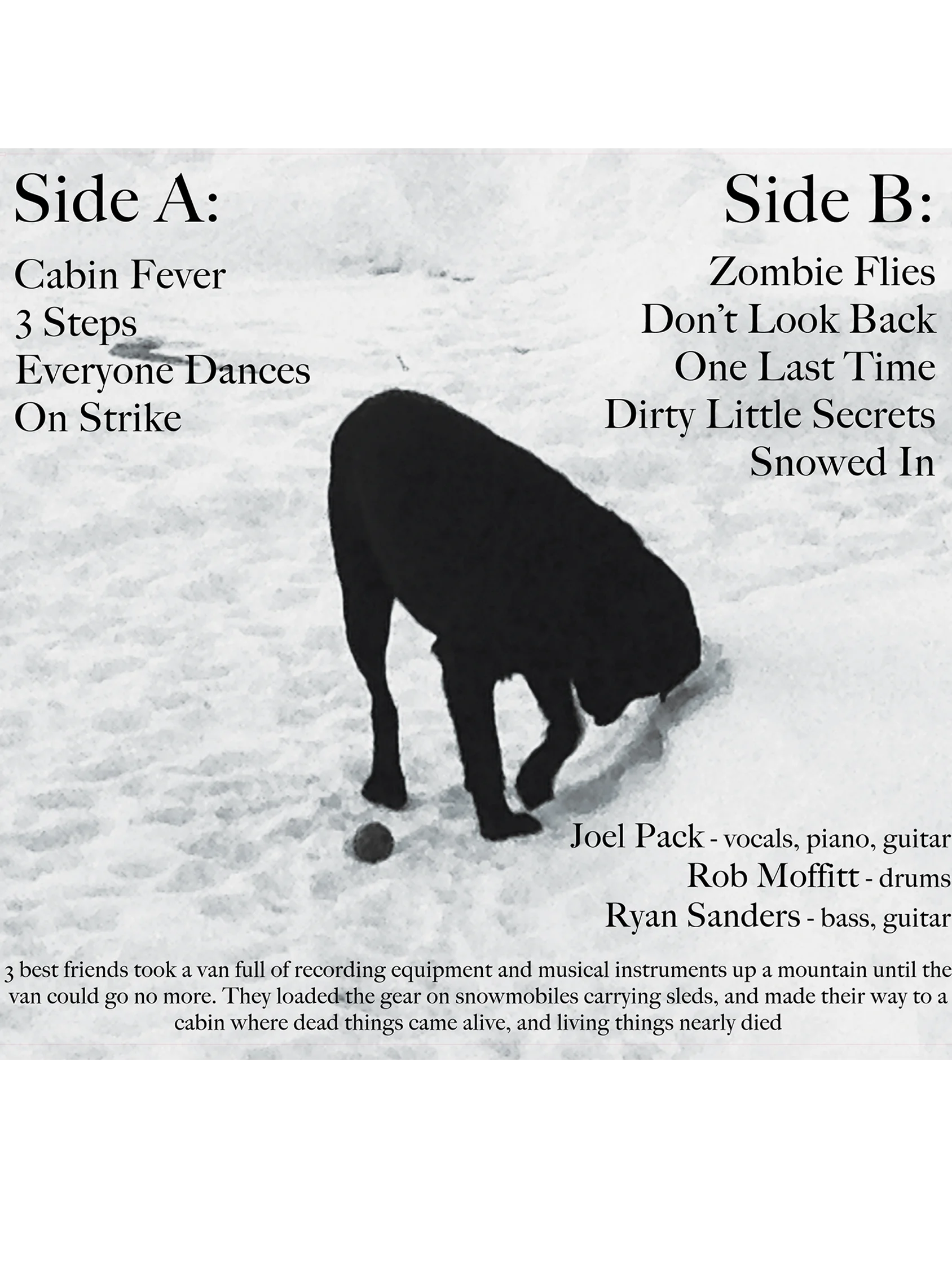 The Manorlands Project (Winter) - White Vinyl LP product image (3)