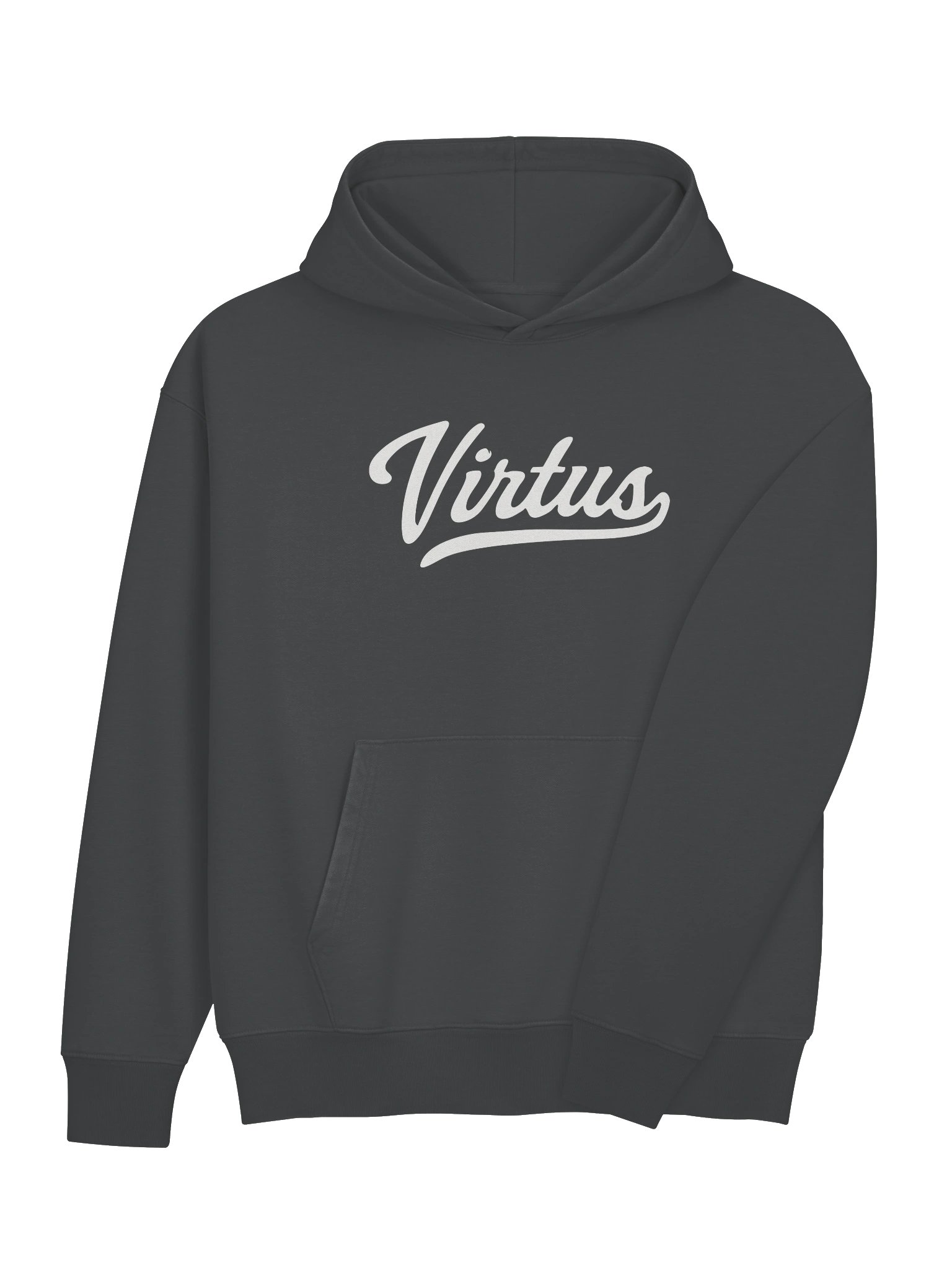 Virtus Script Heavyweight Hoodie product image (14)