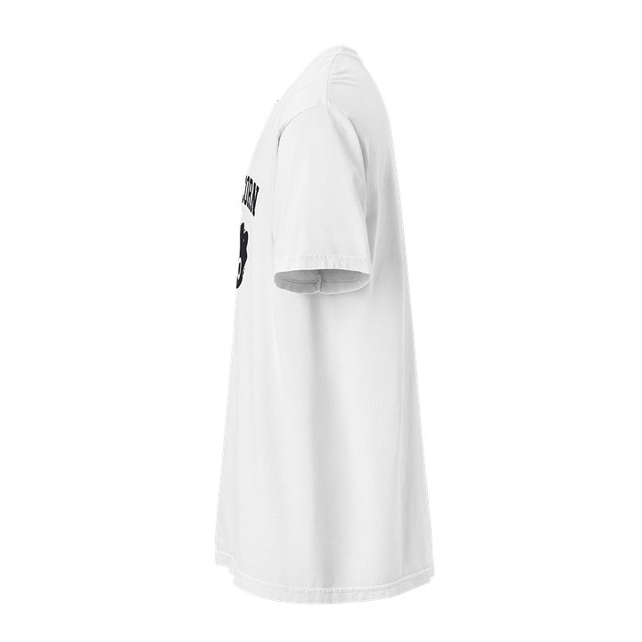 Capricorn Zodiac T-Shirt — Spiritual Soul Psyche Collection product image (38)