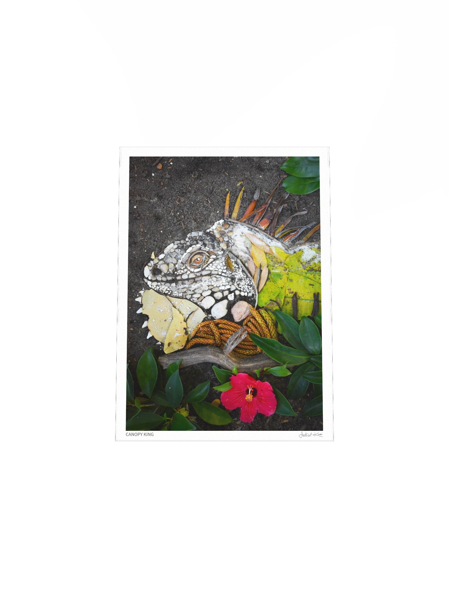 CANOPY KING | Fine Art Print product image (5)