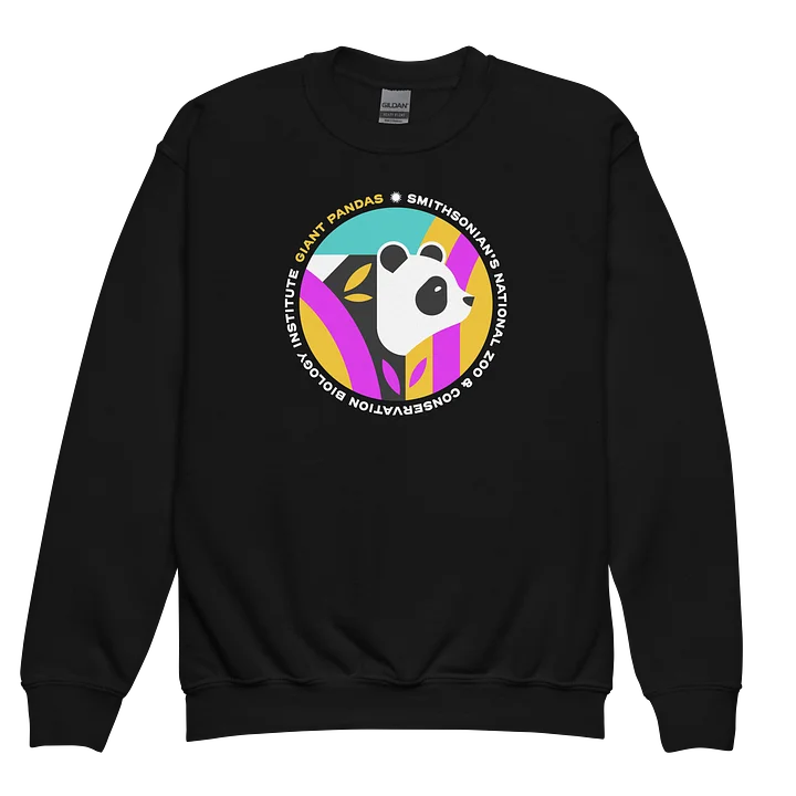 Panda Sweatshirt (Youth) product image (2) Image 2