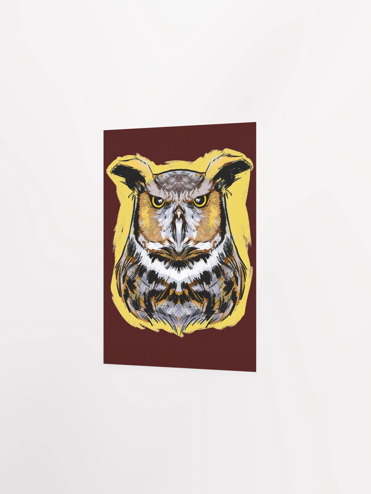 Barn Owl product image (5)