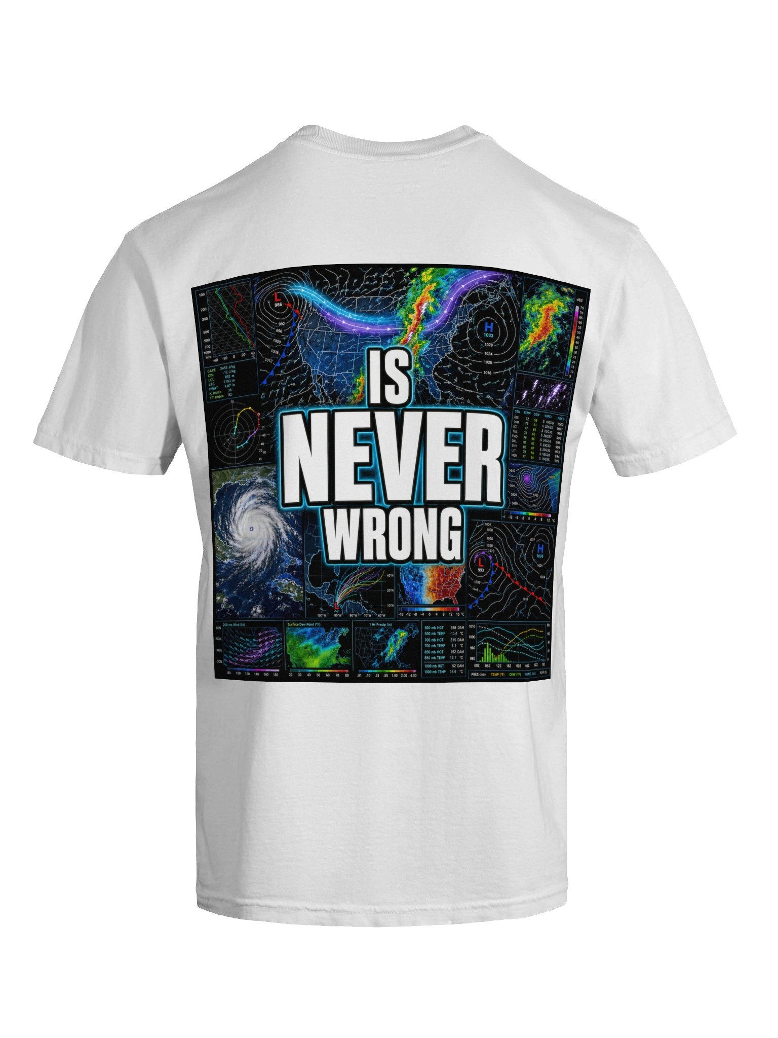 The Data Is Never Wrong product image (7)