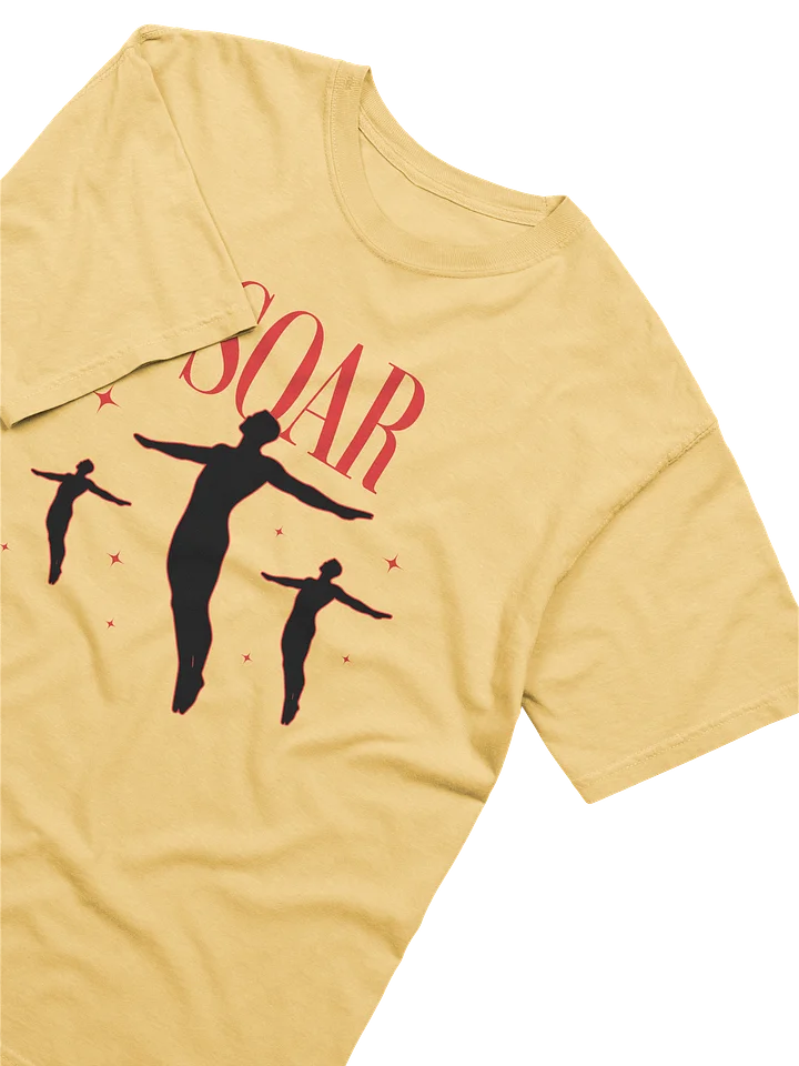 Soar High Comfort: Garment-Dyed Tee product image (2)