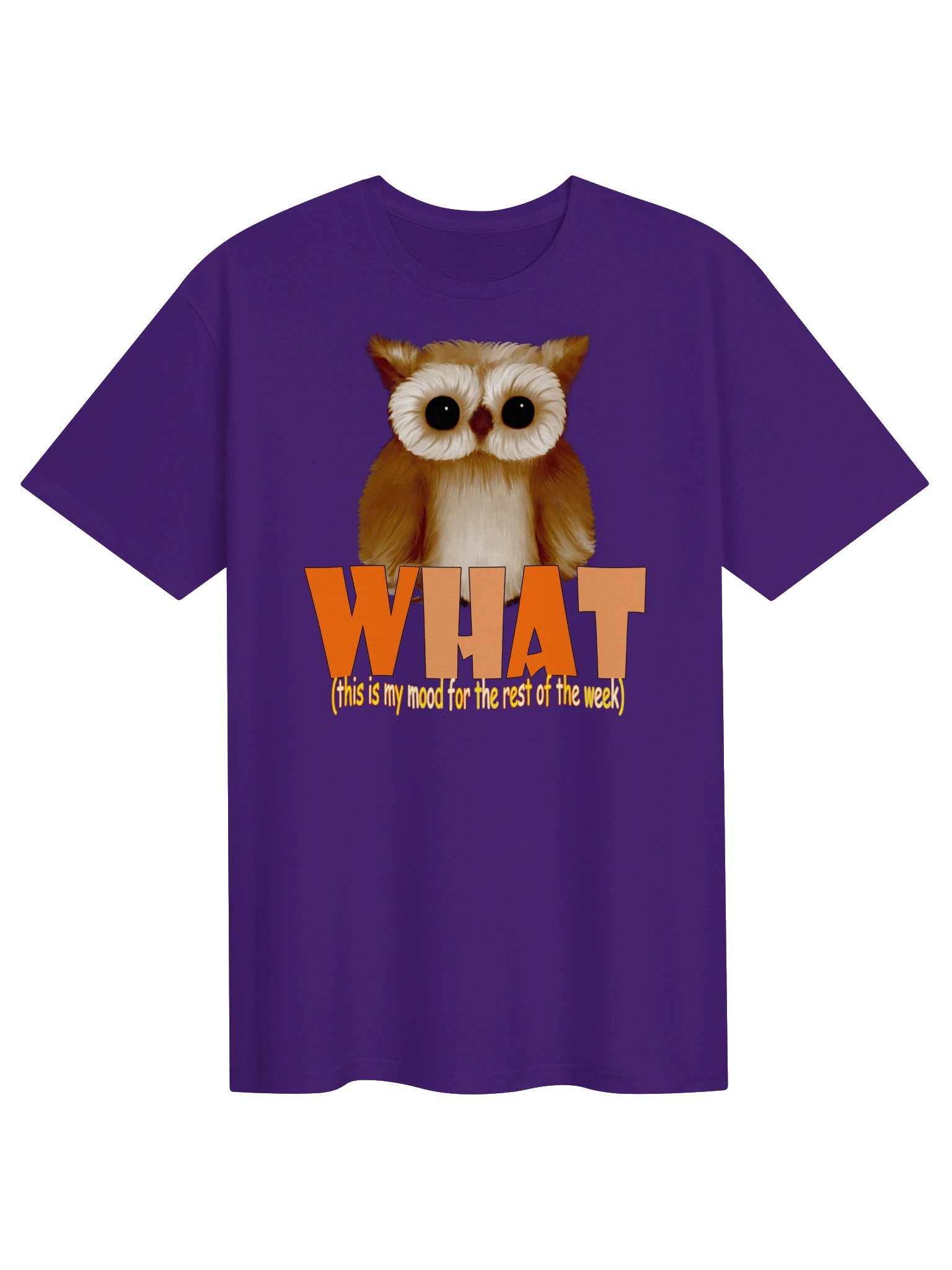 Owl "WHAT" T-Shirt. Unisex Gildan Softstyle T-Shirt product image (1)
