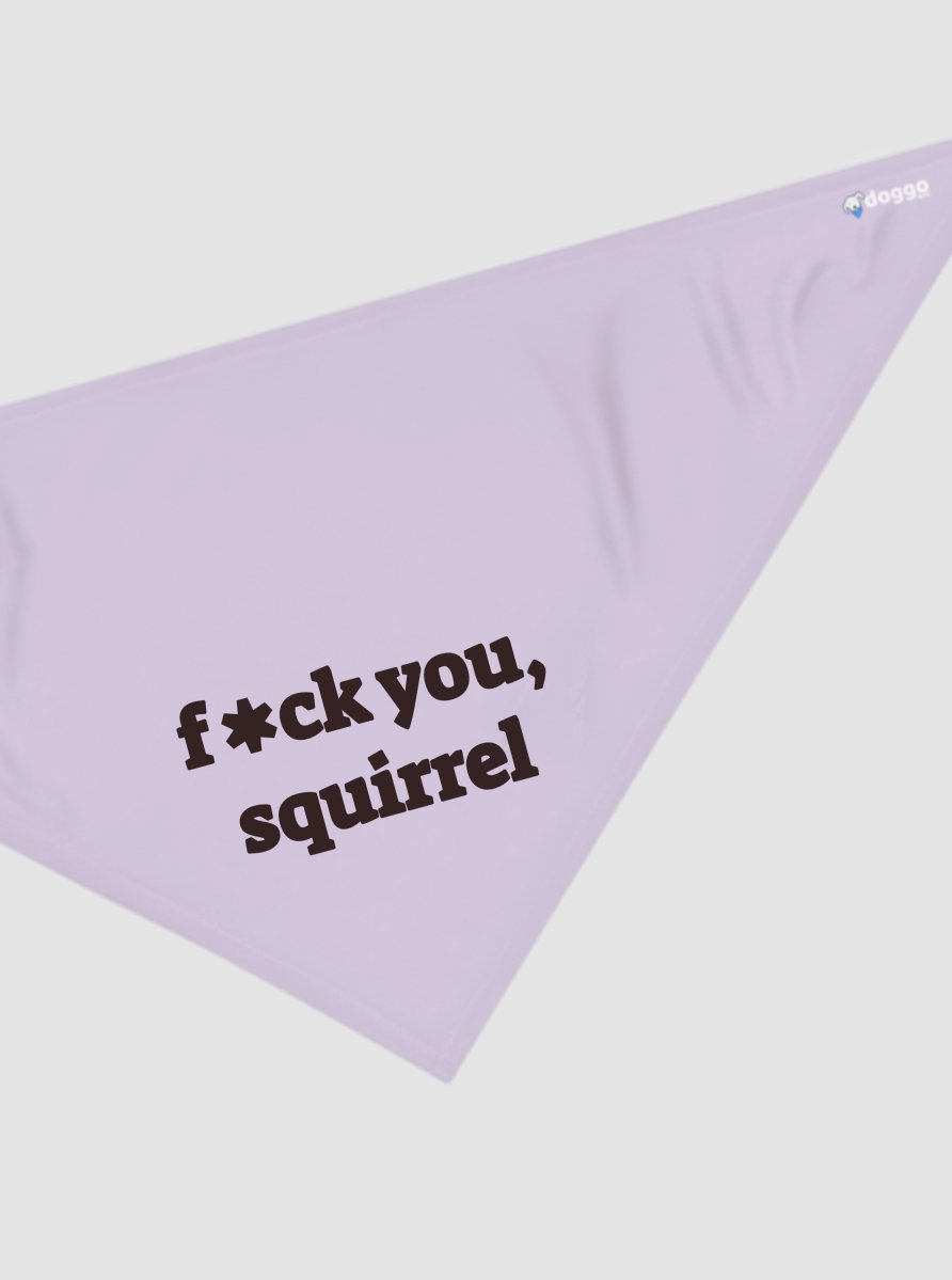 F*ck You, Squirrel product image (1)