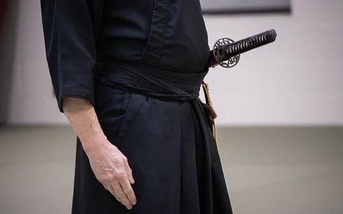 Iaido is not about fighting—it’s about readiness with calm awareness. Every movement is intentional and controlled https://ww...
