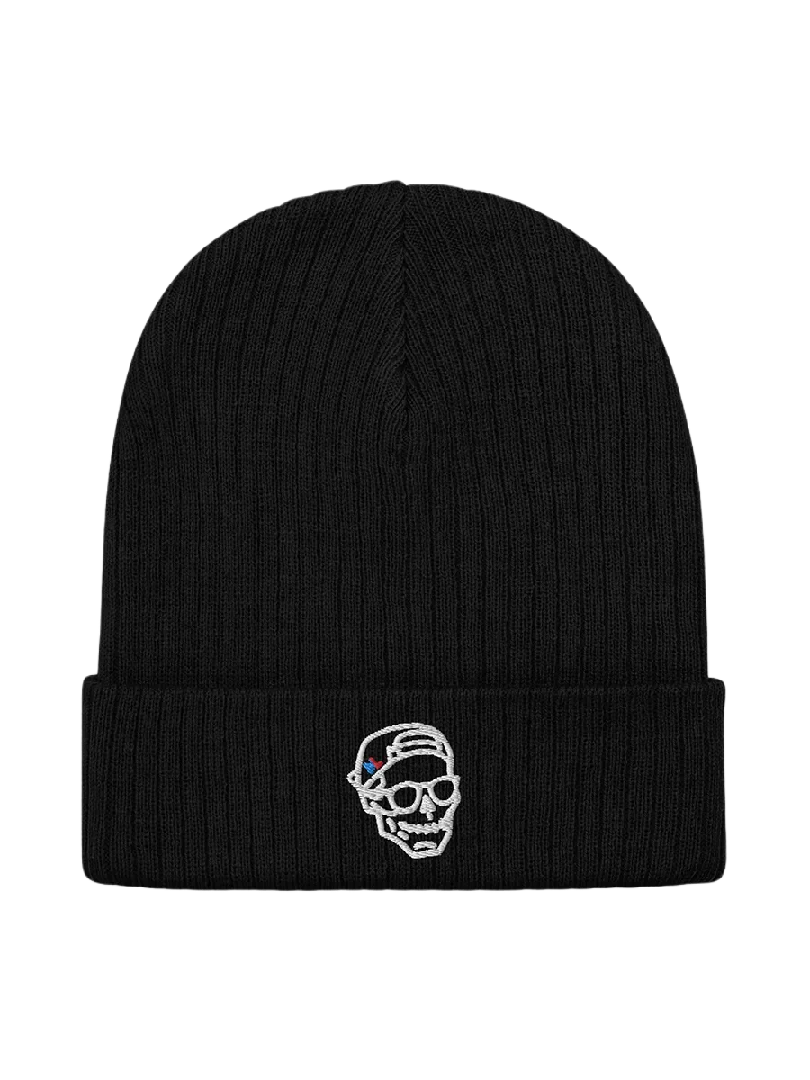 embroidered Skull - Ribbed Knit Beanie product image (1)