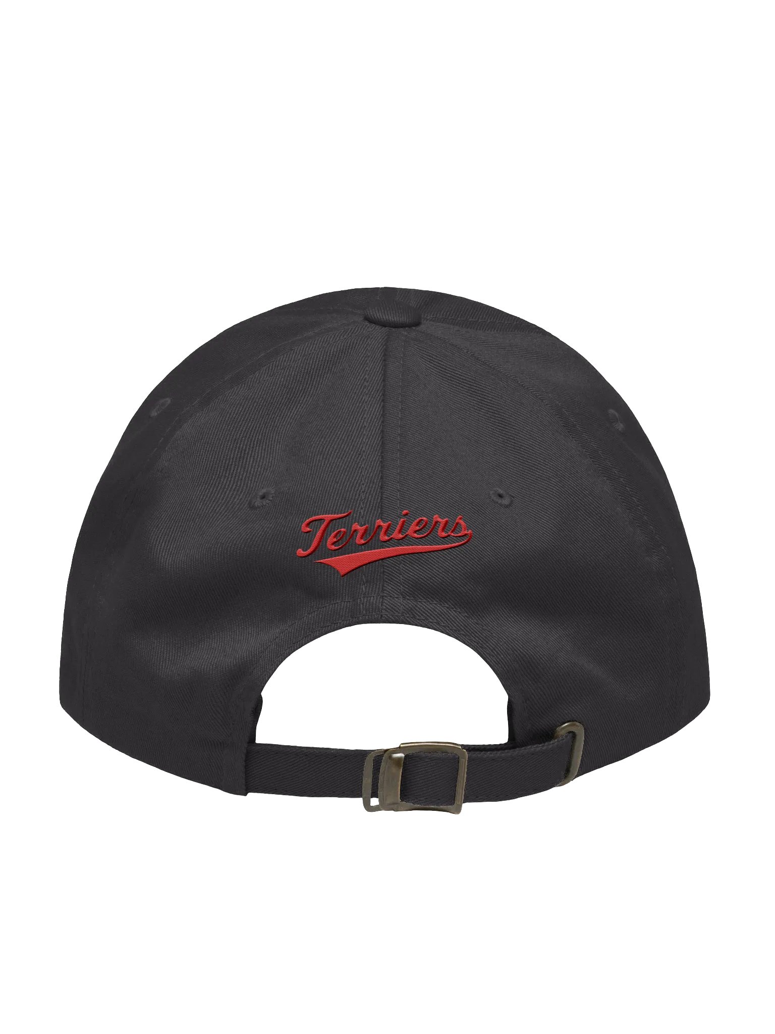 Cambridge Terriers Dad Hat product image (8)