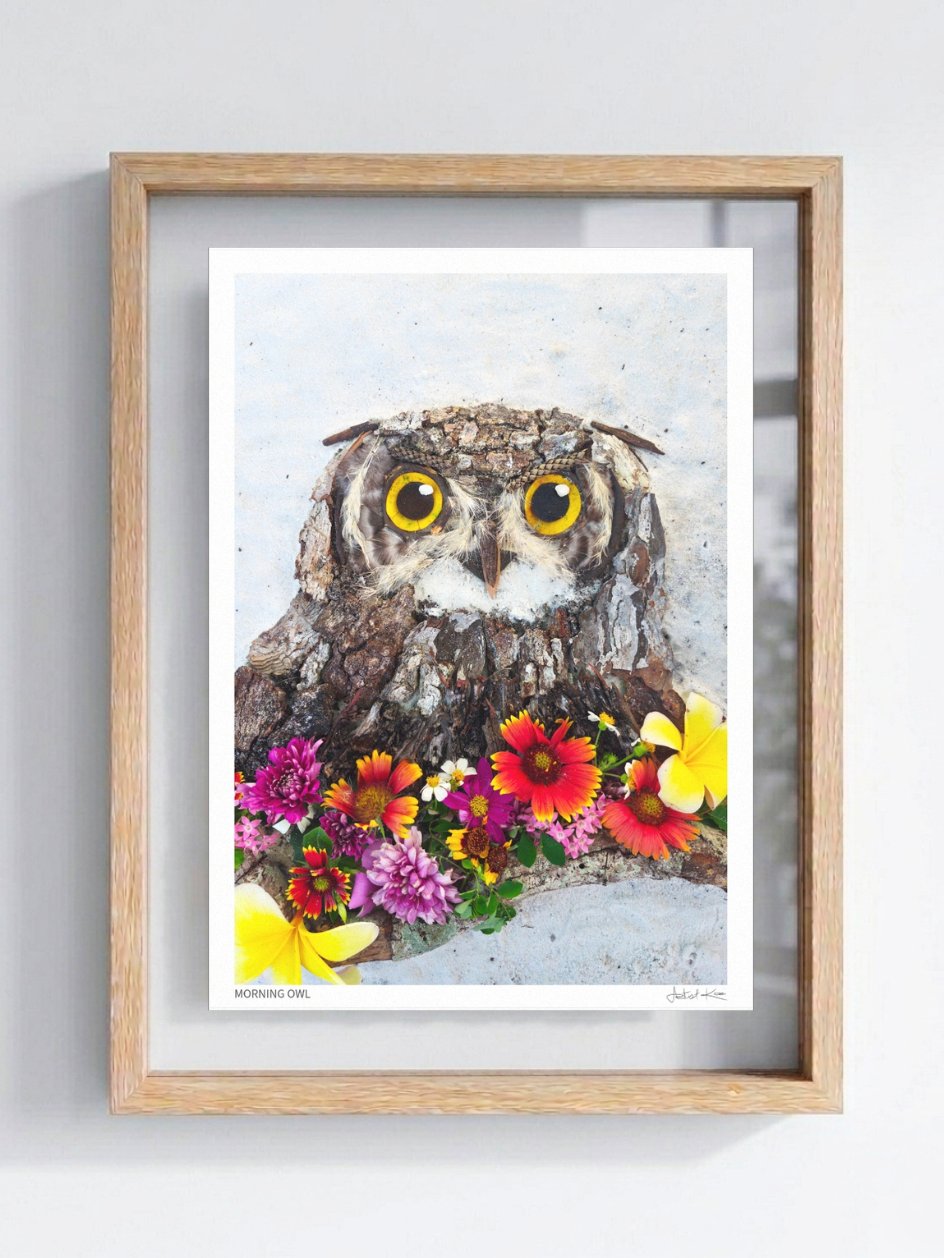 MORNING OWL | Fine Art Print product image (1)