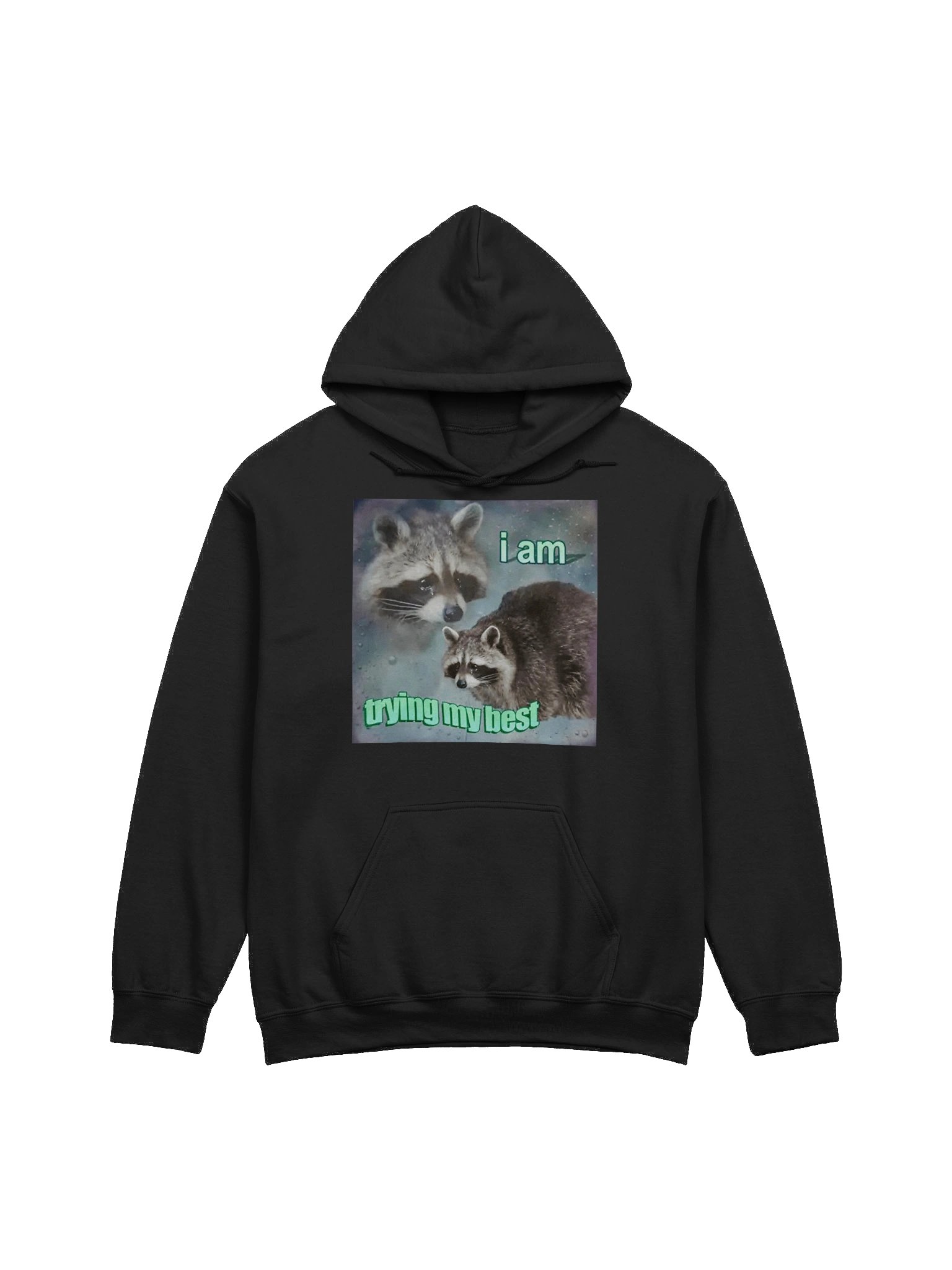 I Am Trying My Best Hoodie product image (1)