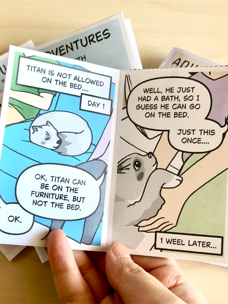 Minizine PDF: No Beds product image (3)