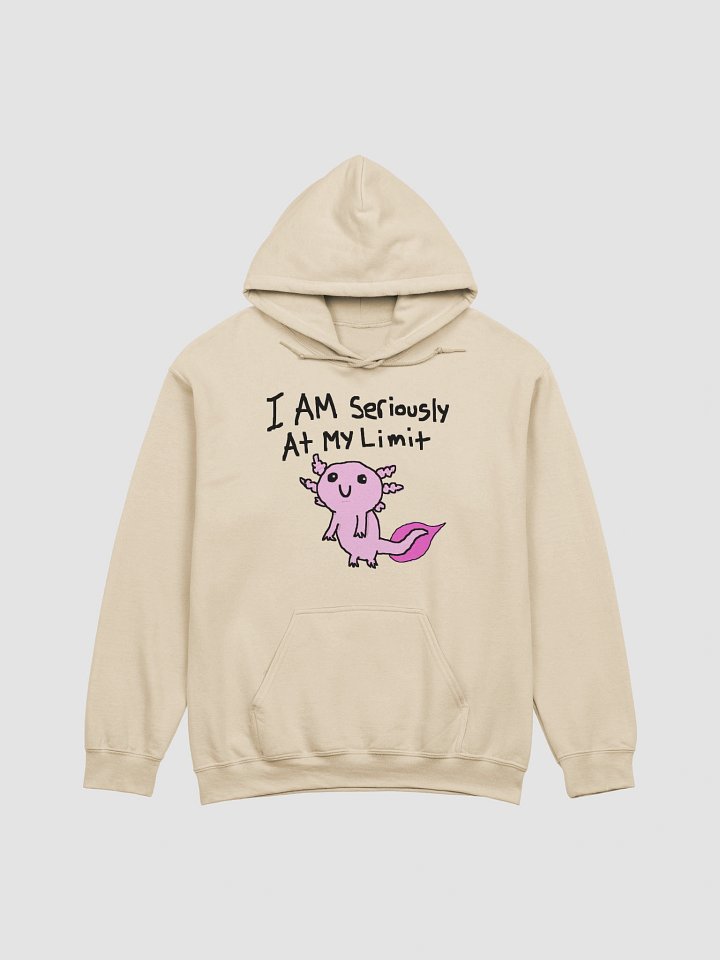 I am seriously at my limit Hoodie product image (1)