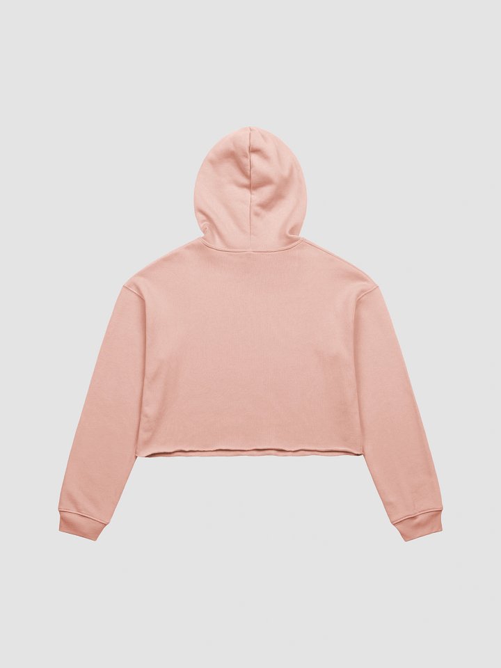 Lighting a F*G Crop Hoodie product image (6)