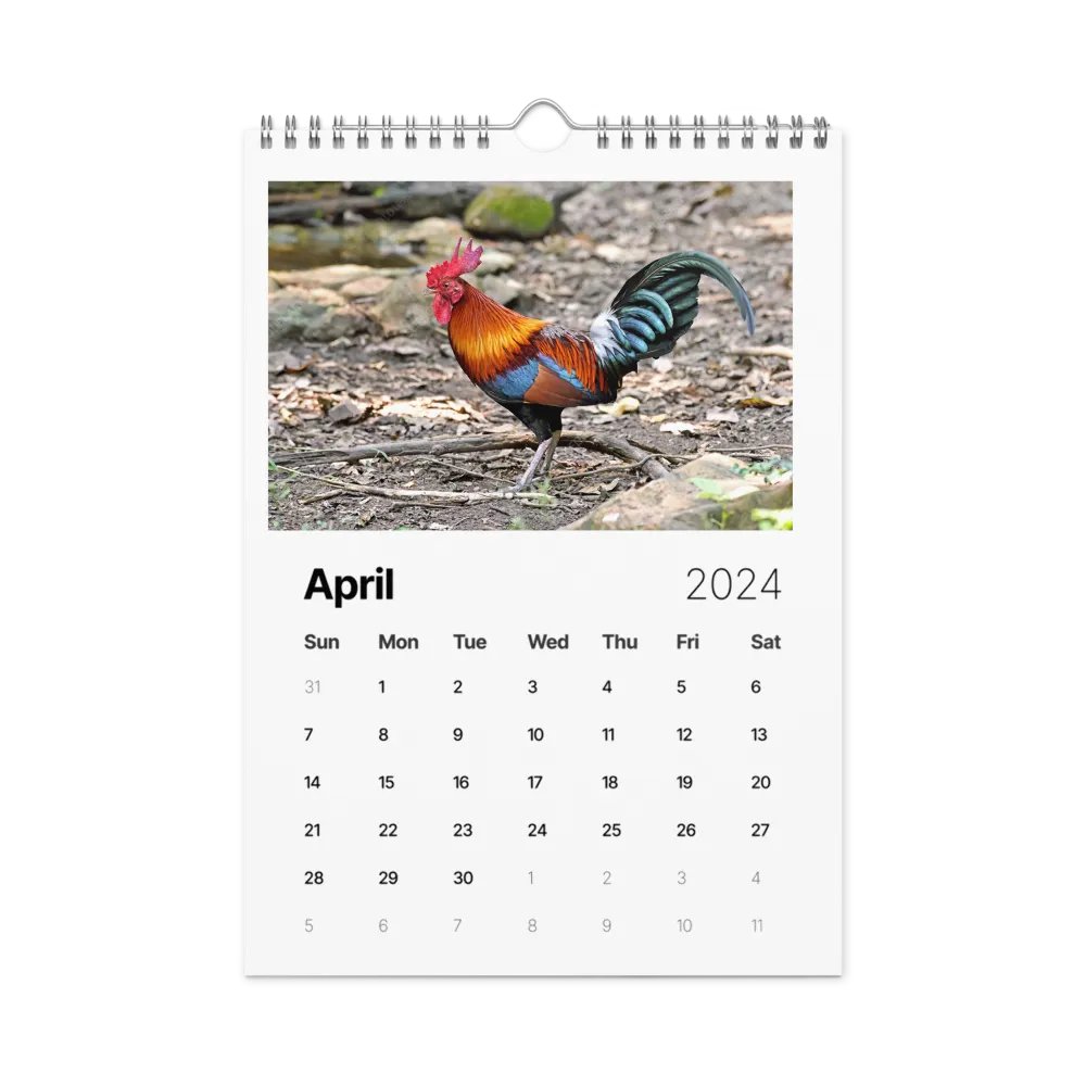 sunsmile year product image (1)