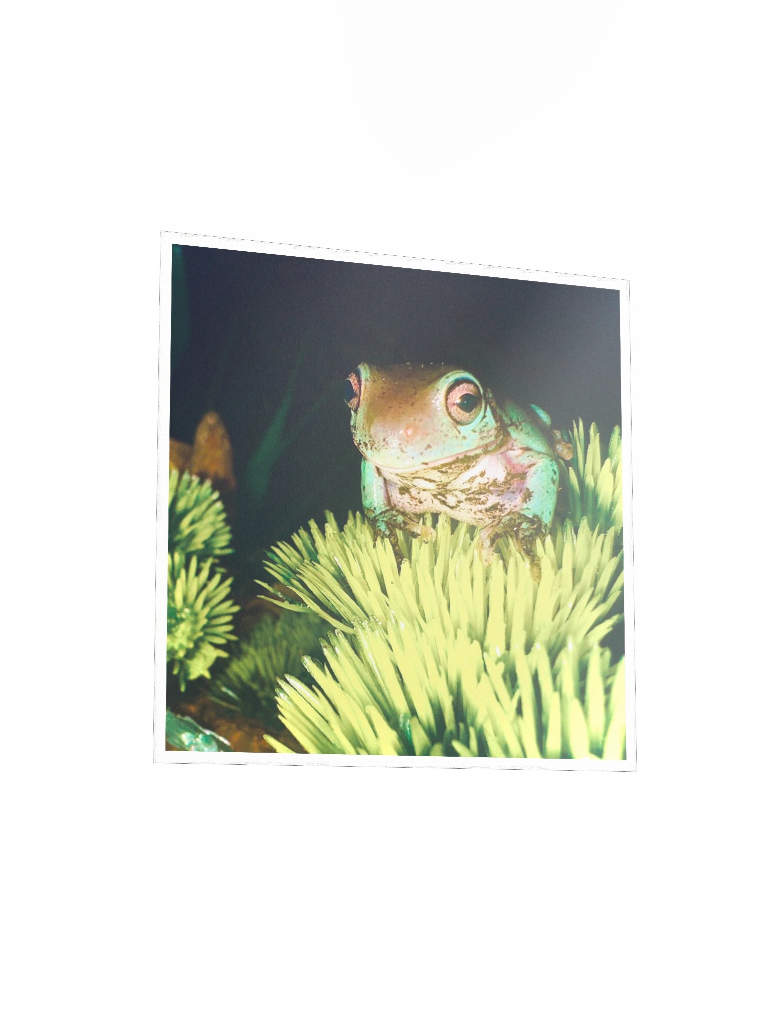 Pepe Poster product image (5)