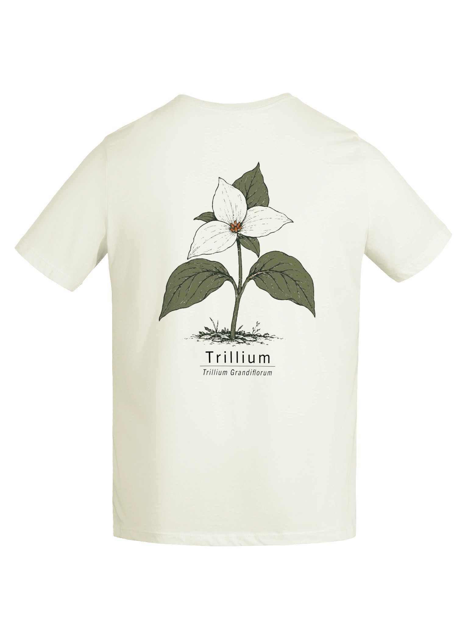 Trillium Women's Relaxed Tee product image (9)