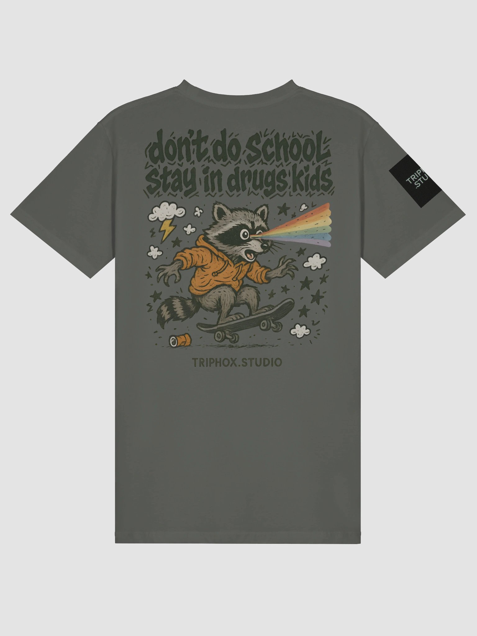 “Don’t Do School” Tee Unisex Premium product image (12)