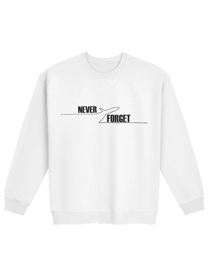 NEVER FORGET SPIRIT AIRLINES 🙏🏾🕊️✨ — SWEATSHIRT (LIGHT + FULL) product image (21)